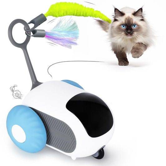 Automatic Cat Toy