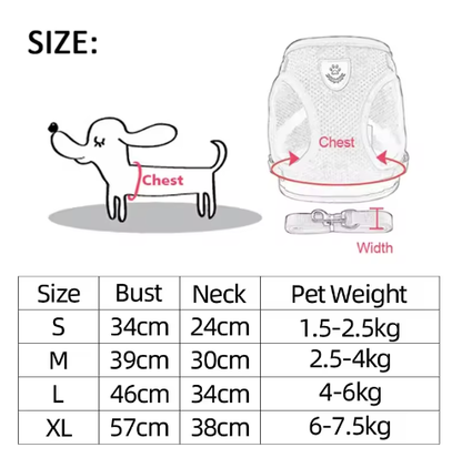 Reflective Adjustable Harness & Leash for Cats and Small Dogs