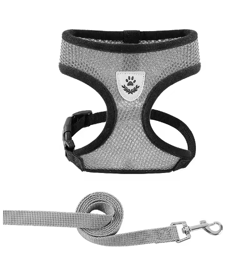 Reflective Adjustable Harness & Leash for Cats and Small Dogs