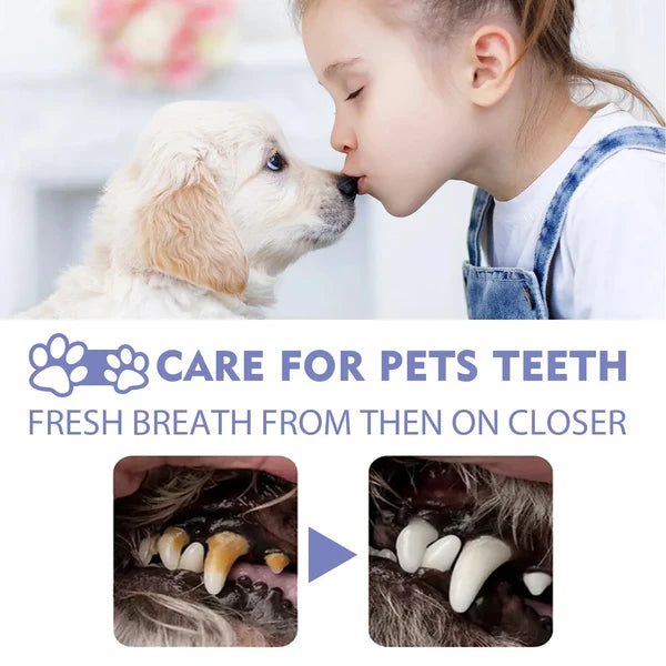 Teeth Cleaning Spray for Dogs & Cats