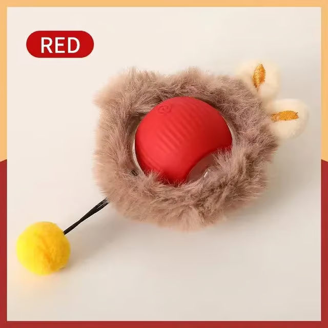 Rolling Ball Toy