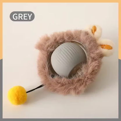 Rolling Ball Toy