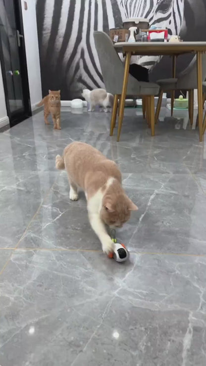 Automatic Cat Toy