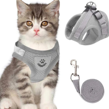 Reflective Adjustable Harness & Leash for Cats and Small Dogs