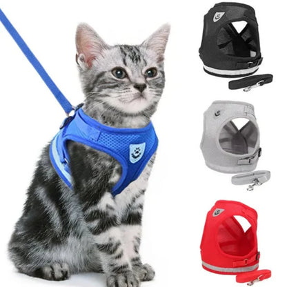 Reflective Adjustable Harness & Leash for Cats and Small Dogs