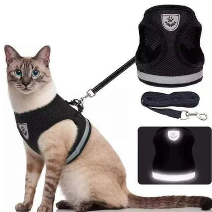 Reflective Adjustable Harness & Leash for Cats and Small Dogs