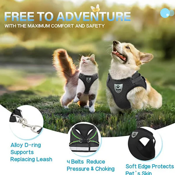 Reflective Adjustable Harness & Leash for Cats and Small Dogs