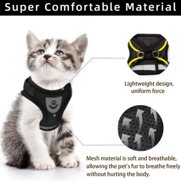 Reflective Adjustable Harness & Leash for Cats and Small Dogs