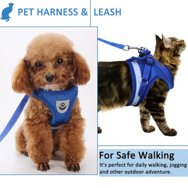 Reflective Adjustable Harness & Leash for Cats and Small Dogs